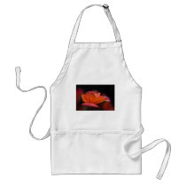 Begonia Aprons