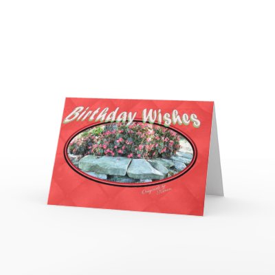 Begonia Birthday-add your words Card by MakaraPhotos