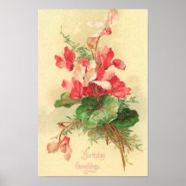 Begonia Birthday Greetings Poster