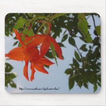 Begonia Bloom Mouse Pad