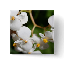 Begonia Pin