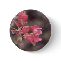 Begonia Buttons