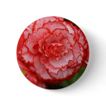Begonia Button