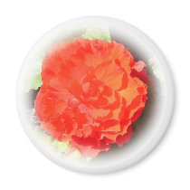 Begonia Flower Fridge Magnet