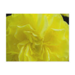 Begonia flowers,海棠 postcard
