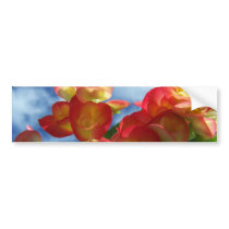 Begonia Flowers Bumper Sticker