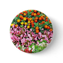 Begonia French Marigold Button