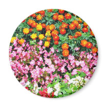 Begonia French Marigold Refrigerator Magnet