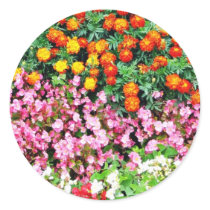 Begonia French Marigold Stickers