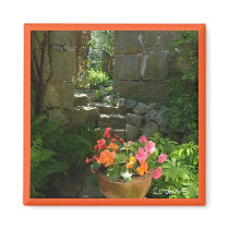 "Begonia  Granite Garden" Refrigerator Magnet