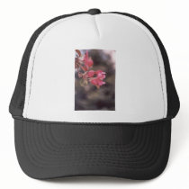 Begonia Mesh Hat