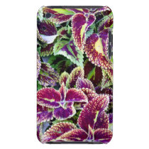 Begonia leaves ipod case-mate case