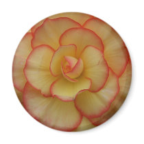 Begonia Fridge Magnets