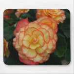 Begonia mousepads