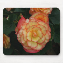 Begonia Mouse Mats