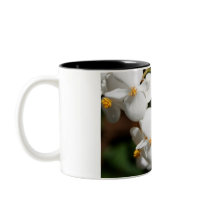 Begonia Coffee Mugs