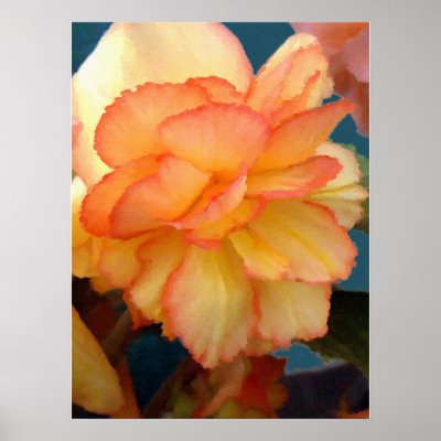Begonia Print by bdtstudio2