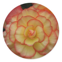 Begonia Stickers