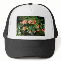 Begonia Tuberosa (Tuberous-Rooted Begonia) Hats