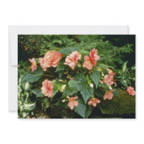 Begonia Tuberosa (Tuberous-Rooted Begonia) Custom Invites