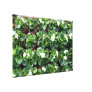 Begonia's at Taipei City Government Nursery Canvas Print
