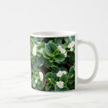 Begonia's at Taipei City Government Nursery Mugs