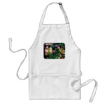 Begonias By Stone Wall Aprons