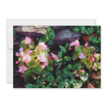 Begonias By Stone Wall Invite