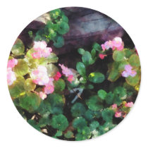 Begonias By Stone Wall Stickers