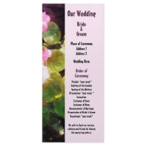 Begonias by Stone Wall Wedding Program Rack Cards