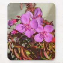 Begonias mousepad