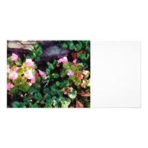 Bégonias par le mur en pierre photocarte personnalisée