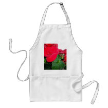 BEGONIE III APRONS