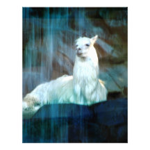 Behind the Falls Custom Letterhead
