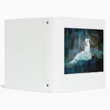 Behind the Falls Vinyl Binders