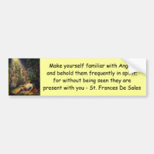 behold angels bumper sticker