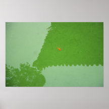 Beijing Fish Poster