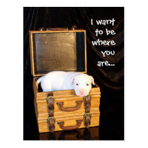 Being With You... Postcard