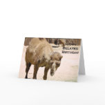 Belated Birthday Card