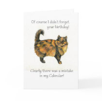 Belated Birthday Card - Brown Tabby Cat
