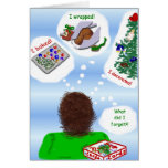 Belated Holiday Greetings Greeting Card