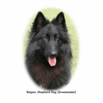Belg Shep 9Y387D-053 Photo Cutouts