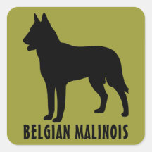 Belge Malinois Autocollants