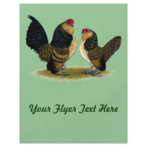 Belgian d'Anvers Bantams:  Quail
