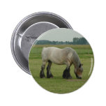 Belgian Draught   Horse-colour grey grazing Buttons