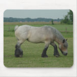 Belgian Draught   Horse-colour grey grazing Mouse Pads