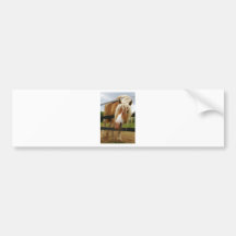Belgian Draught   Horse, Got Carrots? Bumper Sticker