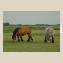 Belgian Draught   Horse-one grey, one brown cards