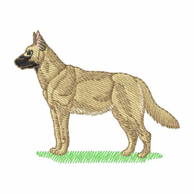 Belgian Malinois Belgian Malinois