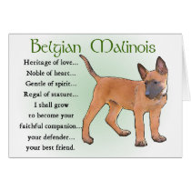 Belgian Malinois Gifts Greeting Card